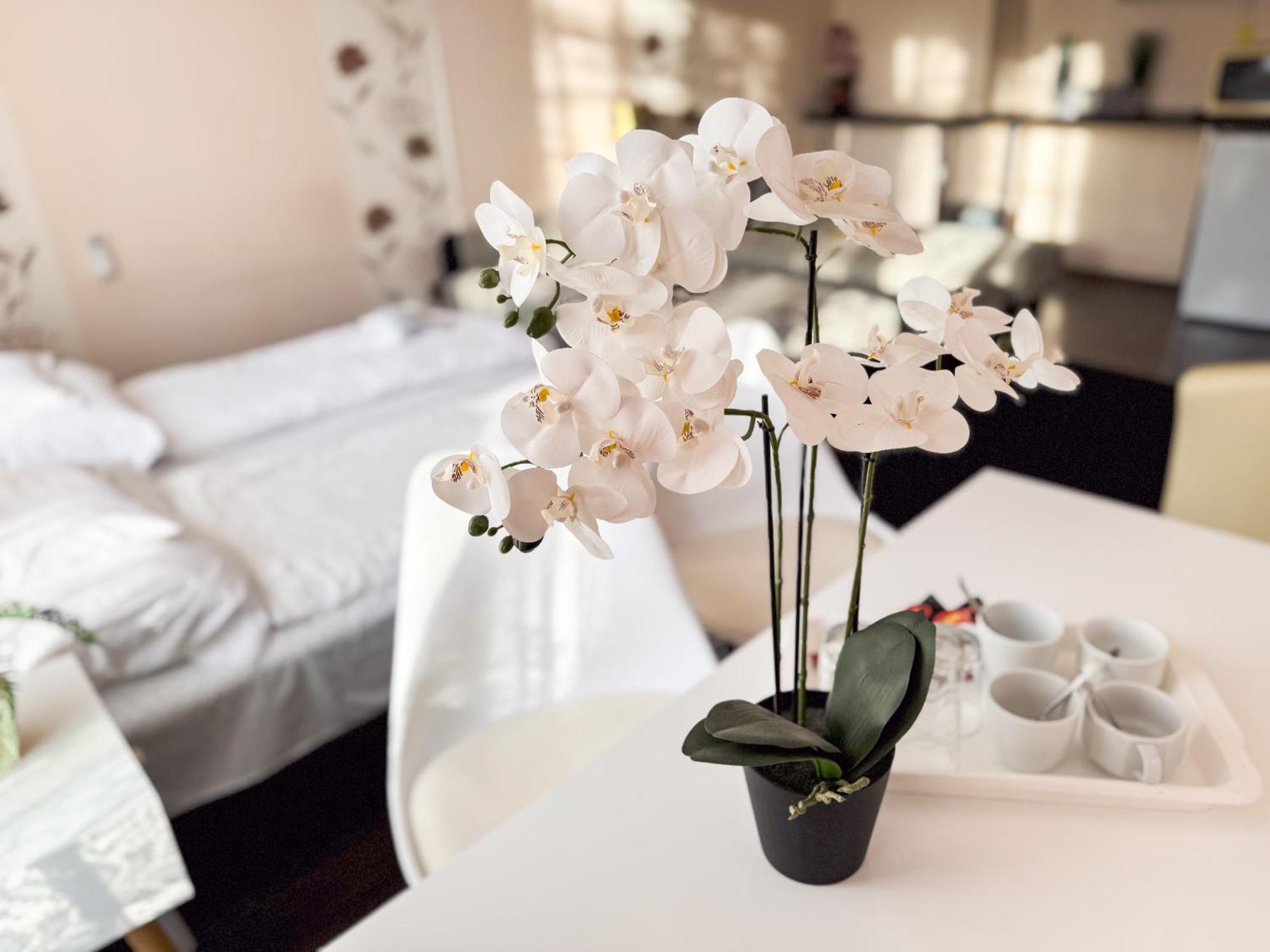 Hotel Ejjelibagoly Vendeghaz Szentes Exteriér fotografie